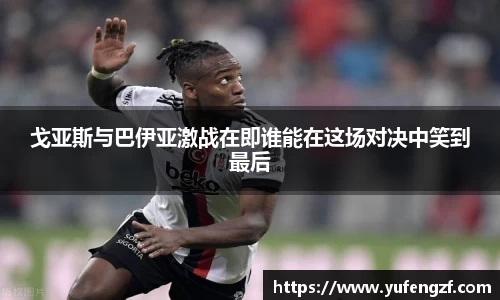 zoty中欧官方网站